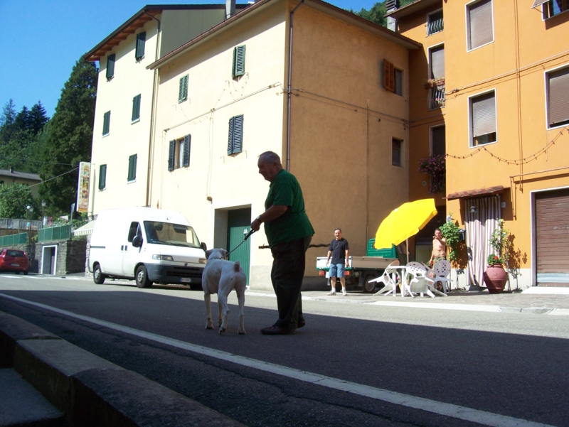  Image name: Persone011.jpg 
 width: 800 pixel 
 height: 601 pixel 
 Size: 372974 bytes 
 Click to enlarge 